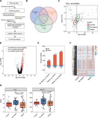 Dysregulated lncRNAs are Involved in the Progress of Sepsis by Constructing Regulatory Networks in Whole Blood Cells